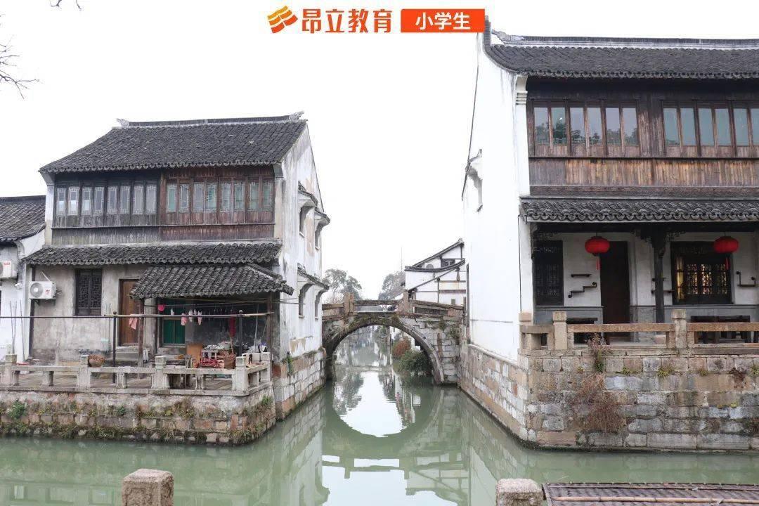 全民烧脑3去广告版